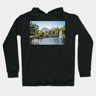 Scenic Park Palm Springs Hoodie